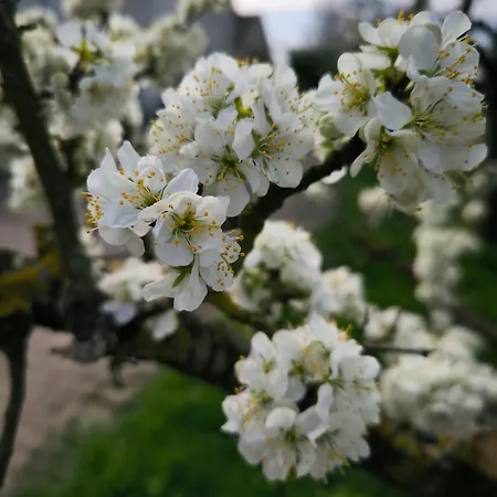 Apartment Aussichtsreich