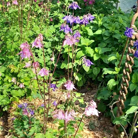 Apartment Aussichtsreich *