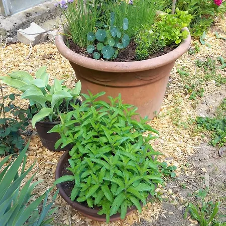 Aussichtsreich Apartment