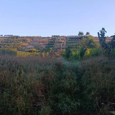 Aussichtsreich Kirchheim am Neckar